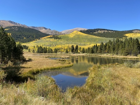 High Country Lake (courtesy of beavers)