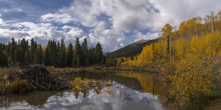 Fall Colors at Lily Ponds
