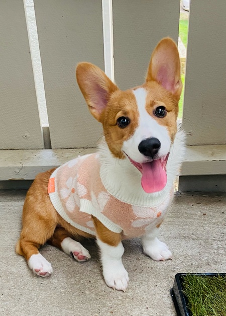 Winnie