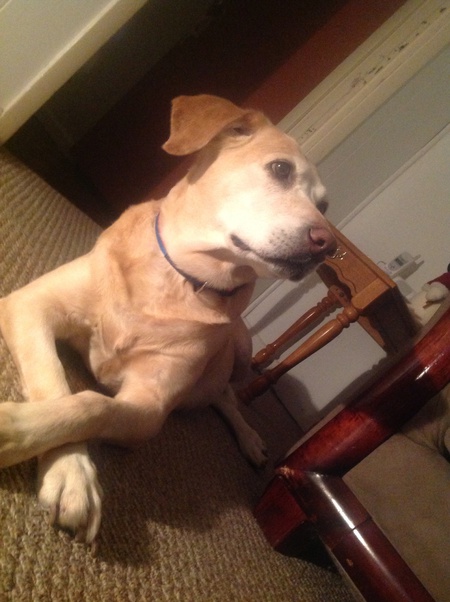 Zoey