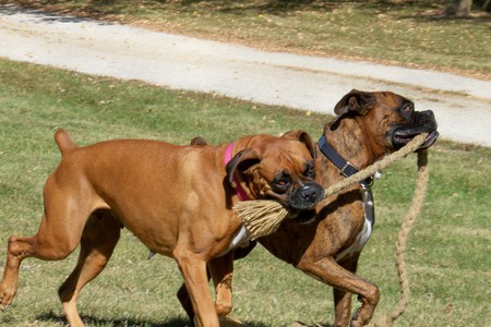 Ramsey and Ella