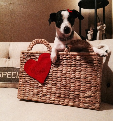 Spot