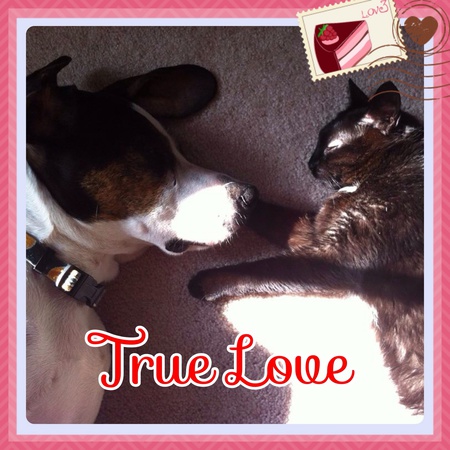 Herbie & Muffin