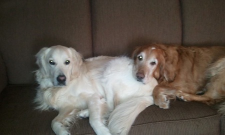 Hunter and Sammie