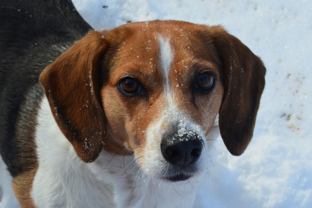 Maggie