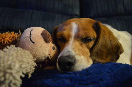 Maggie