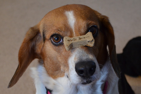 Maggie