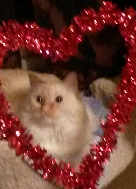 Mr. Boo