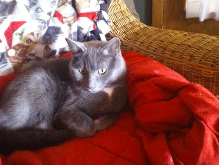 Sisu (formerly Ms. Dipstick)