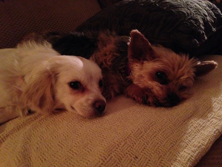 Riley and Pearl