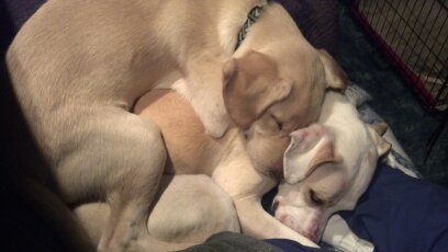 Pebbles & Mickey
