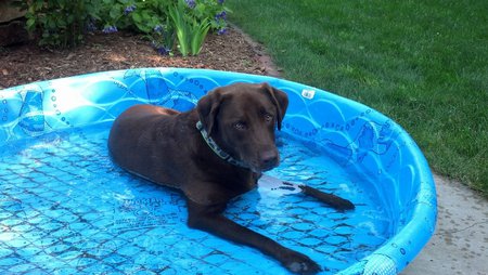 Bailey