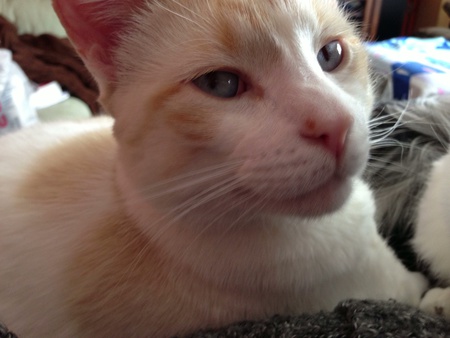 George