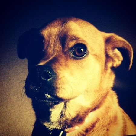 Lou
