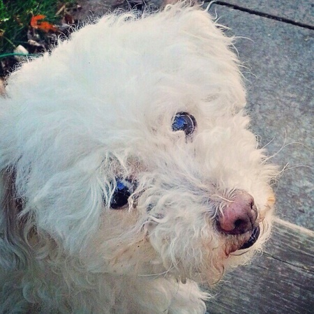 Betty