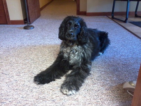 Molly