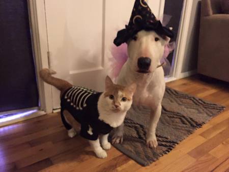 Harley and Jacob