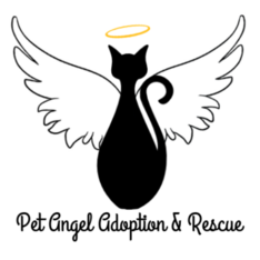 Logo for Pet Angels Angelic Pet Photo Contest