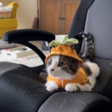 Entry image for Ella