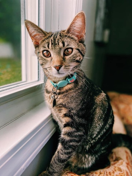 Entry image for Tuukka . Clicking this image will show a larger photo