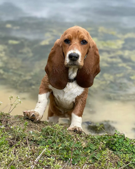 Lady Mae