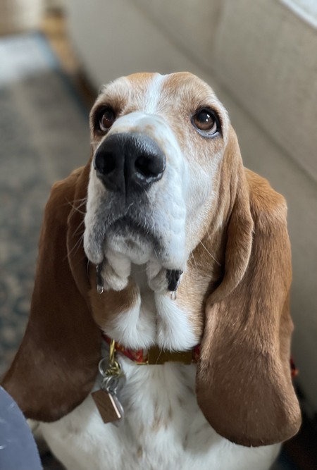 Ellie Mae