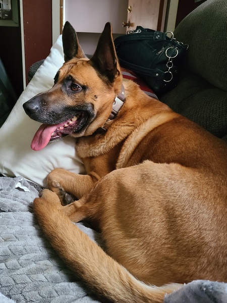 Rosco