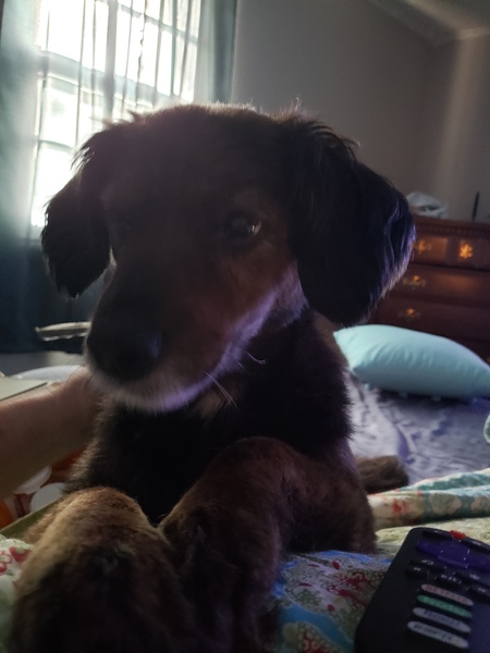 Zoey Sue 