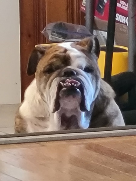Gunner