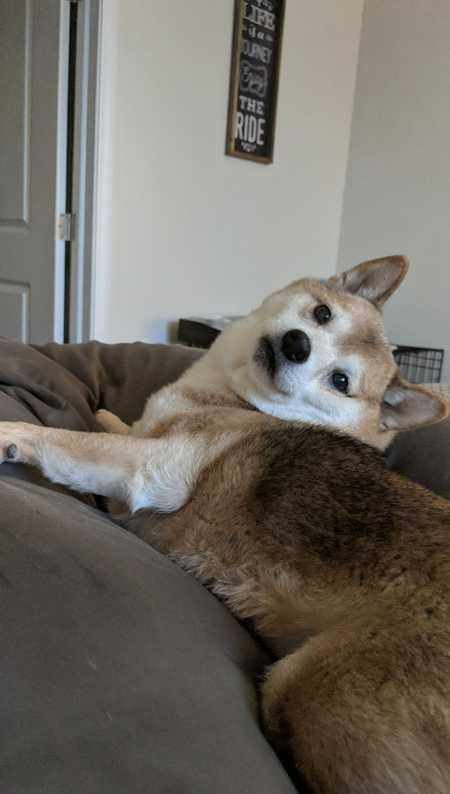 Rusty