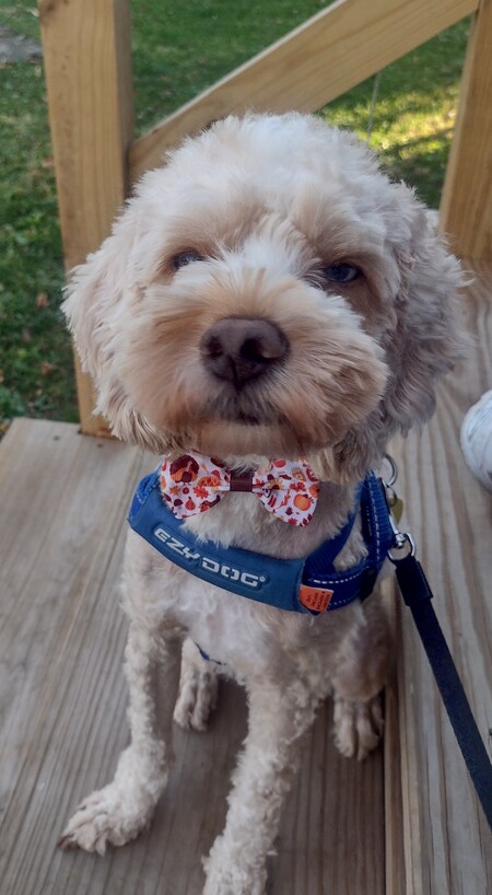 Tucker