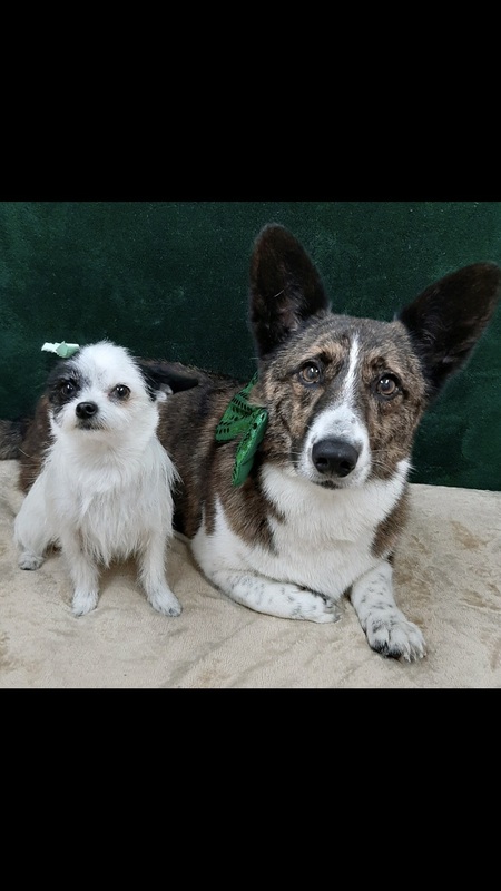 Max & Josey