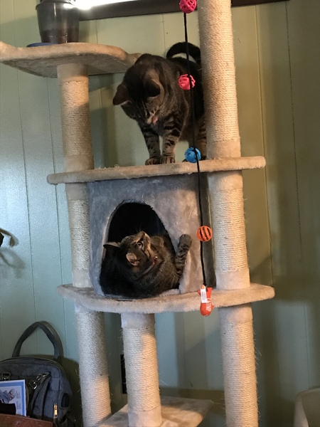 Zac & Miri