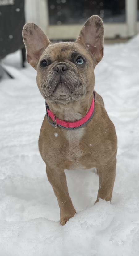 Nora 