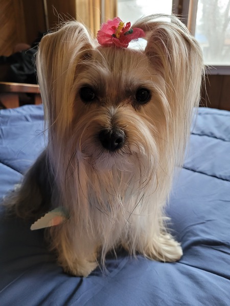 Sophie Marie 