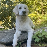 Entry image for Finn
