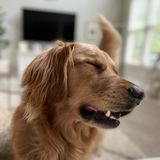 Entry image for Doug 