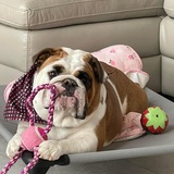 Entry image for Lexi Grace