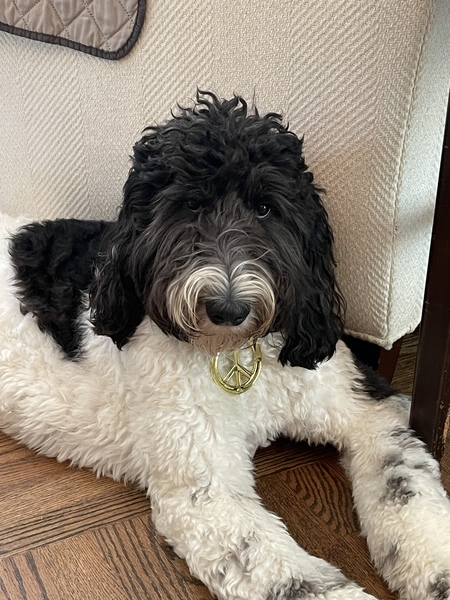 Entry image for Otis Edward Harb. Clicking this image will show a larger photo