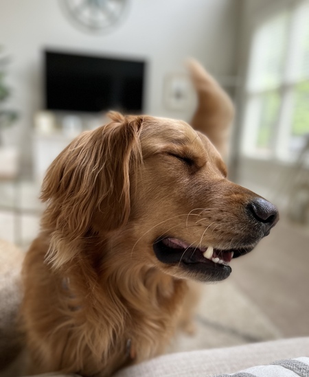 Entry image for Doug . Clicking this image will show a larger photo