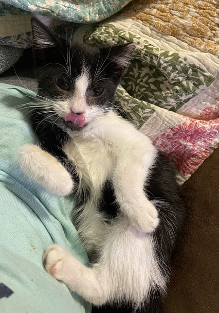 Sammy