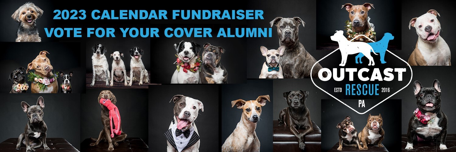 Outcast Rescue Outcast Rescue 2023 Cover Dog Contest