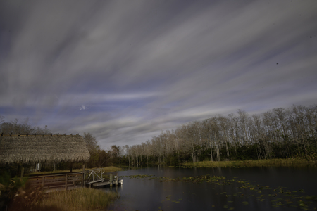 Tranquility of Grassy Waters