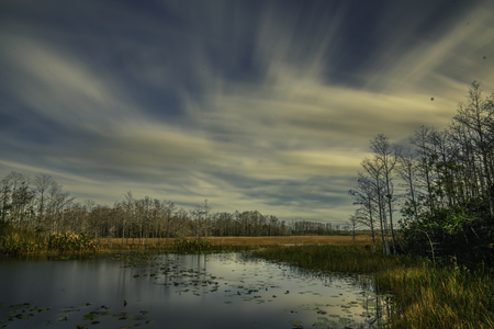 A balmy day at Grassy Waters