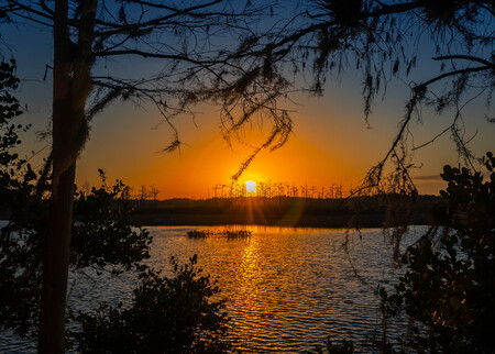 Sun Setting on Grassy Waters