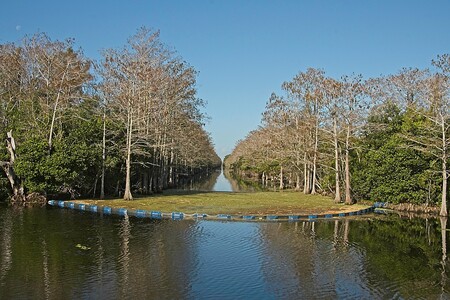 Looking west down the M Canal