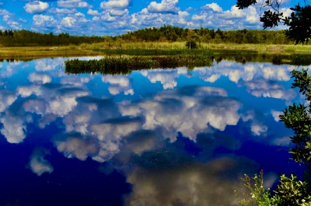 Cumulus Couds Country