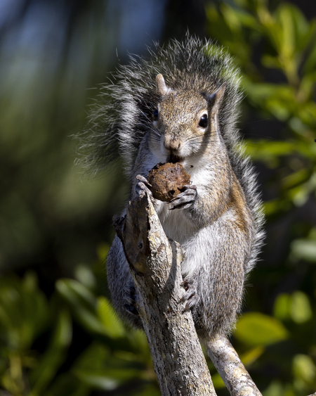 Snack time