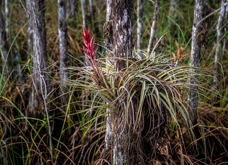 Nature's Colors & Texture