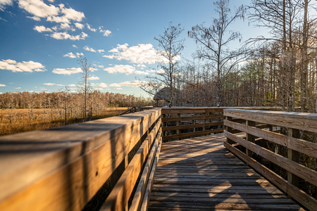 Boardwalk Stroll